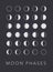 Full cycle moon phases vector background