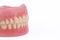 Full denture dentures close-up on white background