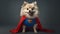 Full-Figure Cutie Pomeranian in Superhero Costume - Generative AI