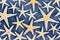 Full frame background of dried starfish