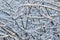 full frame background of frozen branches pattern at daylight