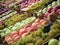 Full frame background of various fruits at a market stall. Focus in the middle