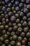 Full frame of chokeberry berries. Aronia berries