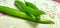 Full frame close up of a bunch of bright and shiny green chili peppers.