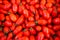 Full frame close up of shiny fresh ripe mini tomatoes - Provence, France