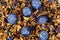 Full frame close up view from above on six fresh blueberries on pile of dried fruits for fruit tea preparation