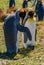 Full frame Closeup of couple King Penguins at Volunteer Beach, Falklands, UK