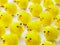 Full Frame Of Easter Chicks