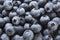 Full frame image of blueberries