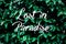 Full frame image of leaves background with LOST IN PARADISE word.