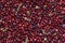 Full frame image of red ripe cranberries