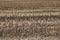 Full frame image of short cropped corn stubble after harvesting