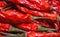 Full frame macro closeup of isolated shiny red raw chili peppers with green pedicle