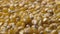 Full-frame of Maize grains, Corn kernels in rotation