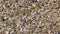 Full frame pebble dash background with multiple coloured embedded stones