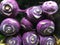Full frame pile of purple turnips