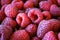 Full frame of raspberries. Pink raspberries. Macro. Close up