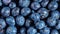 Full frame shot of blueberries. Close-up view of fresh first fruit. Tasty and healthy berries background theme