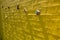 Full frame shot of yellow climbing wall