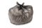 Full garbage bag isolated