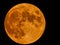 Full Harvest Moon in a Brilliant Orange and Yellow