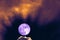 full harvest purple moon back on silhouette cloud ray on sunset sky
