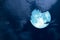 Full hay blue moon back silhouette white cloud night sky