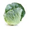 Full head of savoy cabbage.