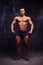 Full height portrait of young bodybuilder standing isolated in d