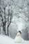 Full Lenght Beautiful Brunette Bride Standing Snowy Path Forest Posing Hair Vertical Winter.