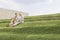 Full length of beautiful young businesswomen using laptop while sitting on grass steps against sky