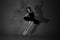 Full length black and white photo of beautiful young blonde ballet dancer in a black dress and pointes in complex pose