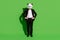 Full length body size view of classy man wearing panda mask holding hands on hips isolated over bright green color