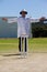 Full length of cricket umpire signalling wide ball during match