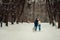 Full-length horizontal view of the cheerful kissing couple leading the lovely siberian husky along the snowy path in the