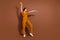 Full length photo of cheerful joyful woman dance enjoy raise hands music lover isolated on brown color background