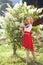 Full length portrait of barefoot attractive woman dressed in in stylish red white dress posing near bush with white flowers in