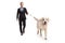 Full length portrait of a businessman walking a white retriever dog on a lead