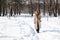 Full length of positive woman standing on winter footpath