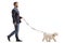 Full length profile shot of a guy walking a maltese poodle pet dog