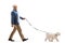 Full length profile shot of a mature man walking a maltese poodle dog