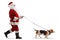 Full length profile shot of santa claus walking a basset hound dog on a lead