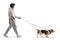 Full length profile shot of a young african american man walking a basset hound dog on a lead