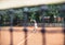 Full length shot of a sporty little girl on open tennis court. Child girl athlete playing tennis in the sport club. Active