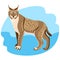 Full length spotted bobcat vector illustration isolated on blue background.