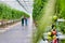 Full length view of senior farmer carrying newly harvest tomatoes in crate while young farmer examining and holding clipboard at g