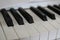 Full-length white piano keys