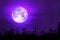 full milk moon purple back on silhouette electric pole on night sky