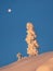 Full moon above the sunny small and big christmas trees is covered with snow on the morning winter polar slope. Dawn northern