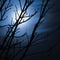 Full moon in foggy dark night, naked leafless trees silhouettes and clouds, halloween theme background, scary moonlight scenery